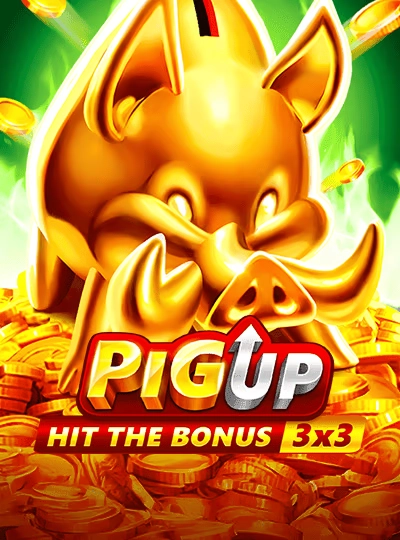 Wild bonus slot game cover